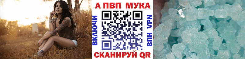где купить наркоту  блэк спрут вход  A-PVP VHQ  Прохладный 