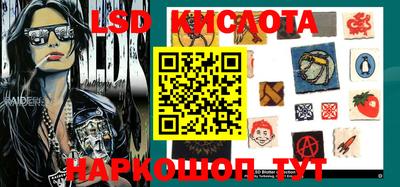 шишки Конаково
