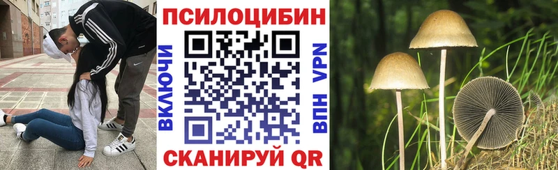 Галлюциногенные грибы Psilocybe  как найти   ОМГ ОМГ онион  Прохладный 