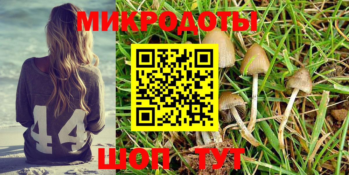 Прохладный  Псилоцибиновые грибы GOLDEN TEACHER  Вход с VPN 